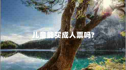 兒童能買(mǎi)成人票嗎?