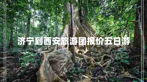 濟寧到西安旅游團報價(jià)五日游