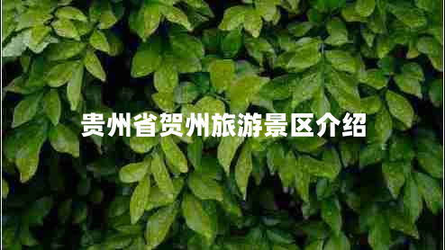 貴州省賀州旅游景區介紹
