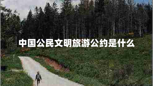 中國公民文明旅游公約是什么