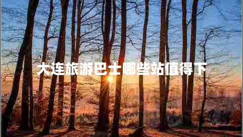 大連旅游巴士哪些站值得下