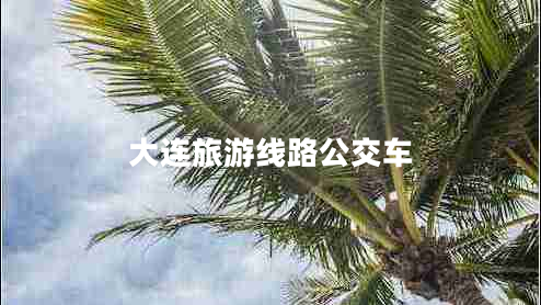 大連旅游線(xiàn)路公交車(chē)