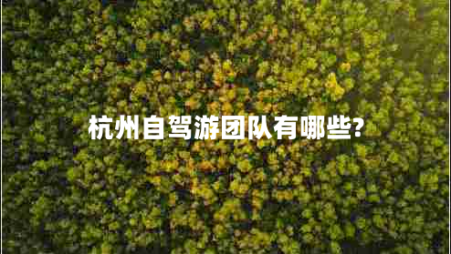 杭州自駕游團(tuán)隊有哪些?