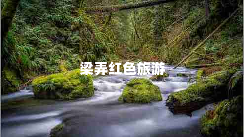 梁弄紅色旅游