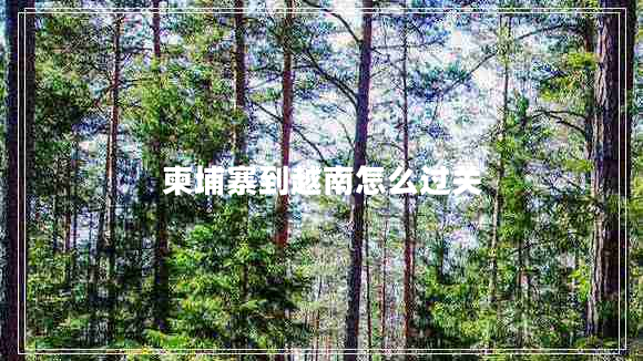 柬埔寨到越南怎么過(guò)關(guān)
