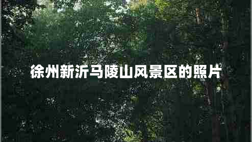 徐州新沂馬陵山風(fēng)景區的照片