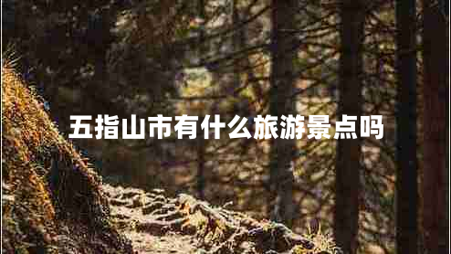 五指山市有什么旅游景點(diǎn)嗎
