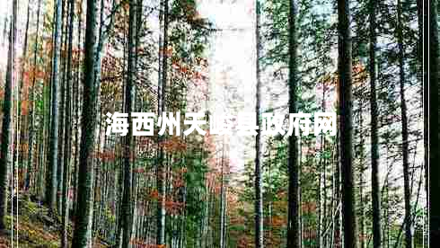 海西州天峻縣政府網(wǎng)