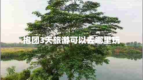 抱團3天旅游可以去哪里玩