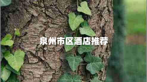 泉州市區酒店推薦