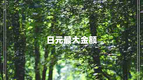 日元最大金額