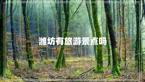濰坊有旅游景點(diǎn)嗎