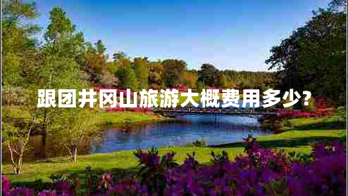 跟團井岡山旅游大概費用多少?