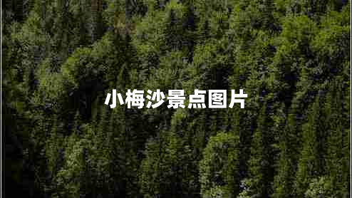 小梅沙景點(diǎn)圖片