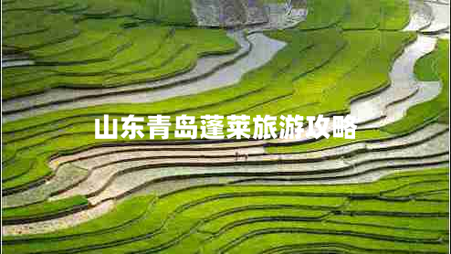 山東青島蓬萊旅游攻略