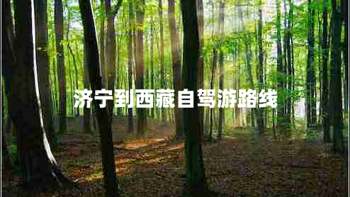 濟寧到西藏自駕游路線(xiàn)