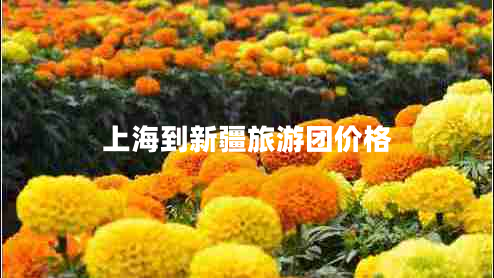 上海到新疆旅游團價(jià)格