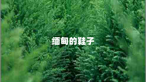 緬甸的鞋子