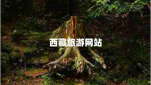 西藏旅游網(wǎng)站