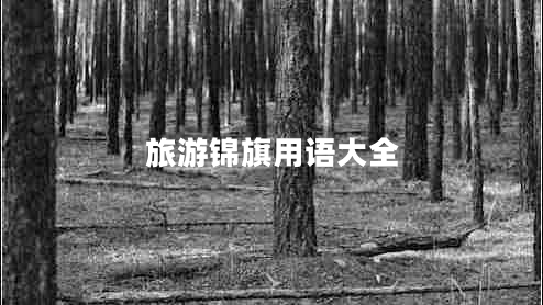 旅游錦旗用語(yǔ)大全