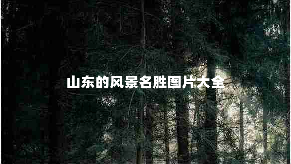 山東的風(fēng)景名勝圖片大全