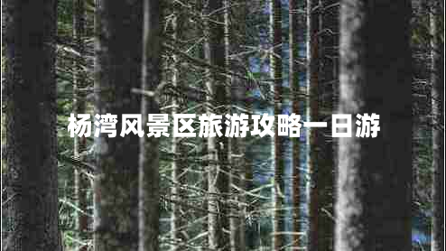楊灣風(fēng)景區旅游攻略一日游