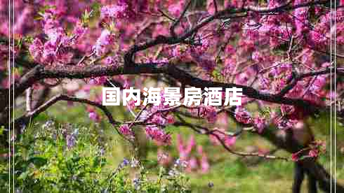 國內海景房酒店