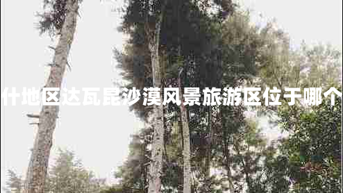喀什地區達瓦昆沙漠風(fēng)景旅游區位于哪個(gè)省