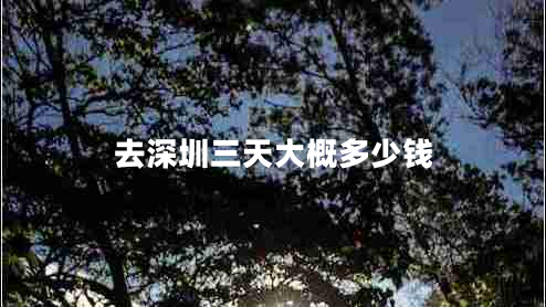 去深圳三天大概多少錢(qián)
