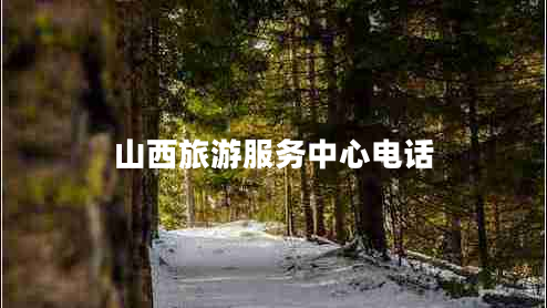 山西旅游服務(wù)中心電話(huà)