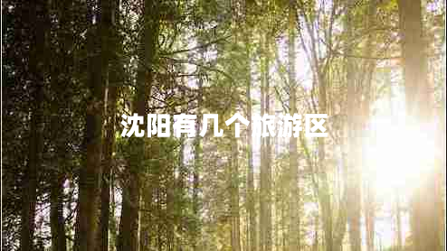 沈陽有幾個旅游區(qū)