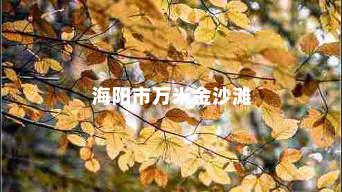 海陽(yáng)市萬(wàn)米金沙灘