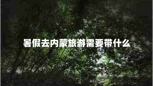 暑假去內蒙旅游需要帶什么