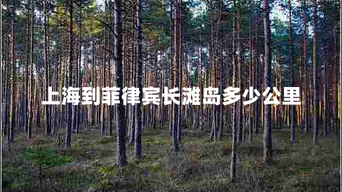 上海到菲律賓長(cháng)灘島多少公里
