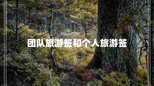 團隊旅游簽和個(gè)人旅游簽