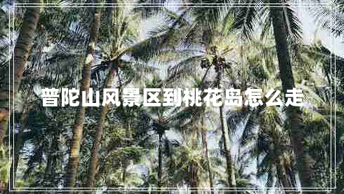 普陀山風(fēng)景區到桃花島怎么走