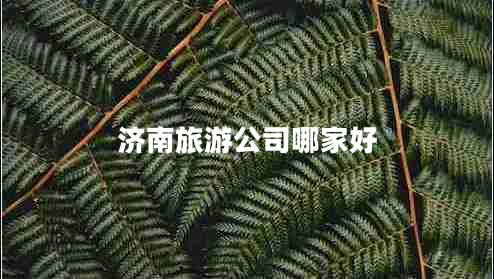 濟南旅游公司哪家好