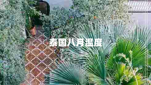 泰國八月溫度