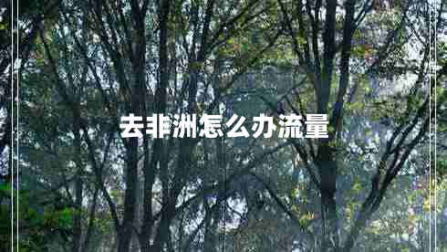 去非洲怎么辦流量