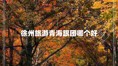 徐州旅游青海跟團哪個(gè)好