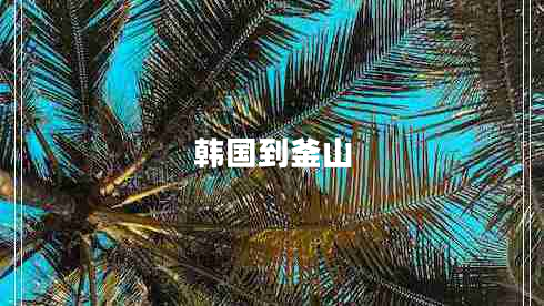韓國到釜山