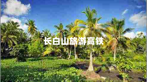 長(cháng)白山旅游高鐵