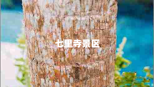 七里寺景區