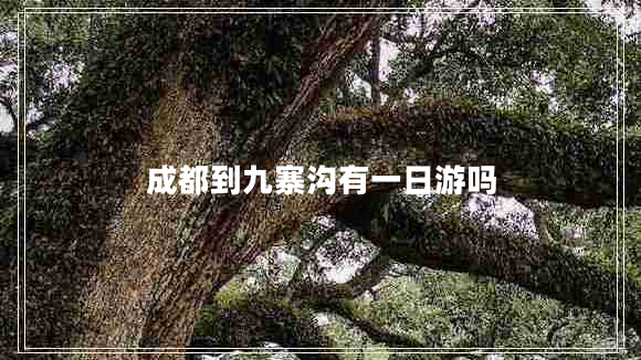 成都到九寨溝有一日游嗎