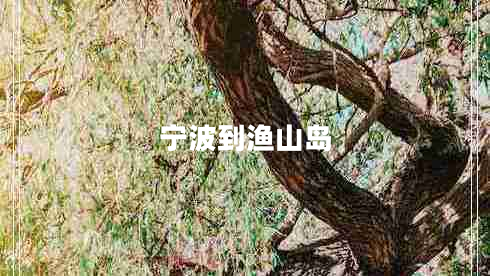 寧波到漁山島