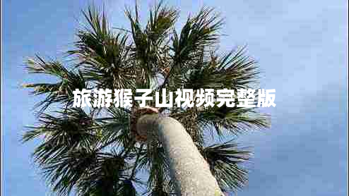 旅游猴子山視頻完整版
