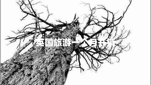 英國旅游一個(gè)月開(kāi)銷(xiāo)