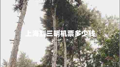 上海到三明機票多少錢(qián)