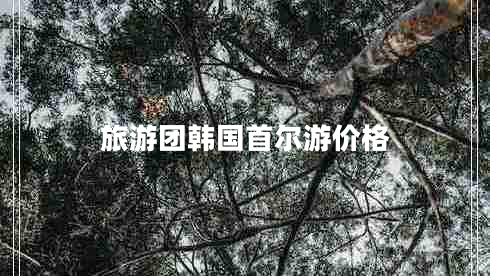 旅游團韓國首爾游價(jià)格