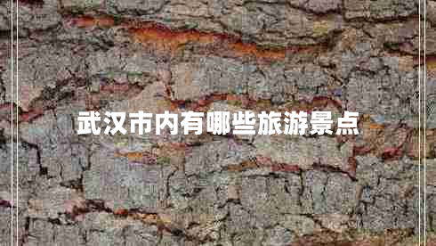 武漢市內有哪些旅游景點(diǎn)